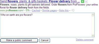 Google Comment Testing